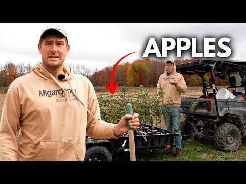 We Are Planting 1000 Trees Right Now On The Farm