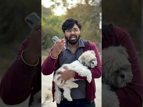 🚗 No More Messy Rides — Smart Pet Essentials!