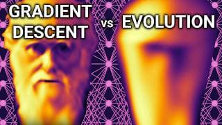 Gradient Descent Vs Evolution | How Neural Networks Learn