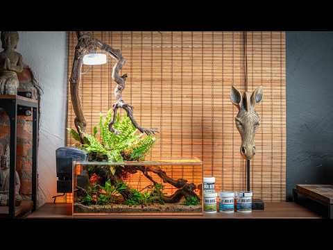 Thinking Outside The Box: Low-maintenance Crayfish Nano Tank!