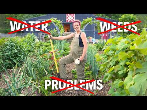 My Laziest Garden Yet! | FULL Summer Garden Tour 2025!