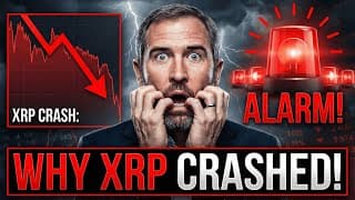 Why Xrp Price Dumped - Xrp Will Get It's Turn In The Rotation - Last 6 Months Were Huge For Ripple
