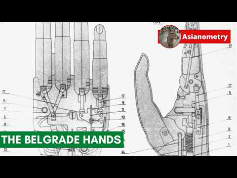 High-five To The Belgrade Hand