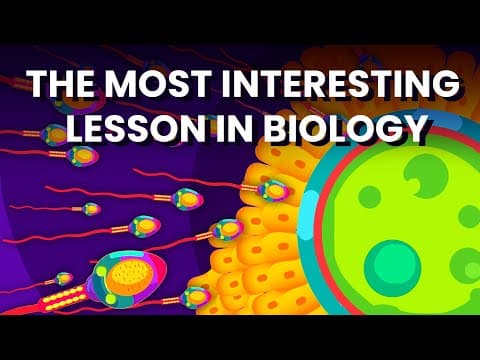 The Systems That Create Life