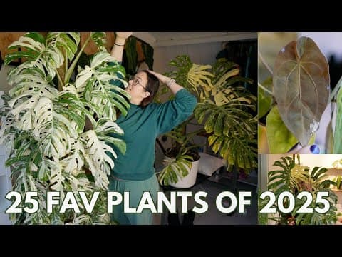 25 Favourite Plants Of 2025 | Plant With Roos