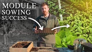 The One Module Tray For Starting 92% Of Crops (and Sowing Demo)