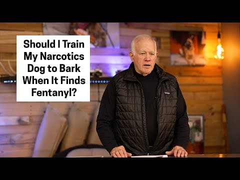 Should I Train My Narcotics Dog To Bark When It Finds Fentanyl?