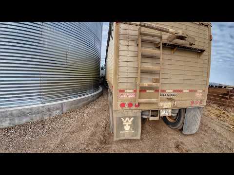 Dont Hit My New Bin!