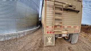 Dont Hit My New Bin!