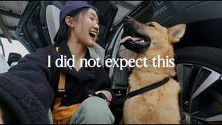 Adopting A Dog From A High Kill Shelter (who Had Only Moments Left To Live)