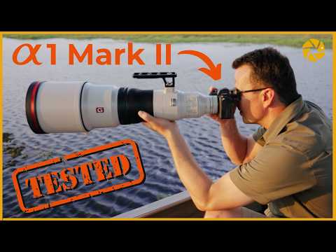 Sony A1 mark 2 - Reviewed On Safari In Botswana!