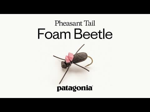 Pheasant Tail Foam Beetle By Craig Mathews | Fly Recipe