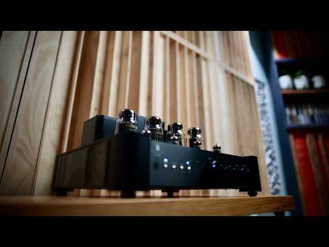 Tubes Rule! Prove Me Wrong! Feat: Psvane Horizon Review