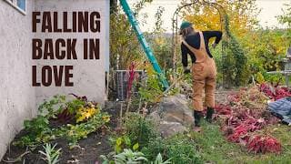 My Daily Medicine: How My Garden And I Are Falling Back In Love