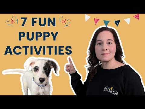 Beat Puppy Boredom – 7 Fun Exercise Tips You Need