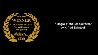Adex Voice Of The Ocean 2025 Short Film Winner – “magic Of The Macroverse”