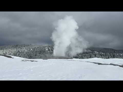 Ol'faithful Eruption Winter (february 2024) 4k Video