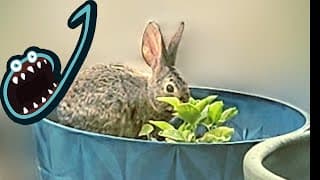 Jerma Streams - White Knuckle (part 3) [with Ster]