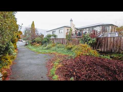 The Most Satisfying Yard Cleanup You Have Seen This Year! (part 4)