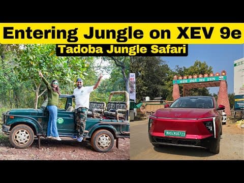 Perfect Family Resort In Tadoba & Wild Jungle Safari | Full Details - Must Visit !!