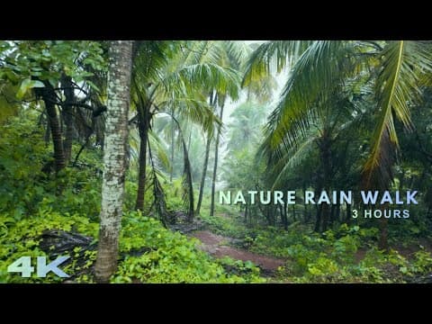 Rain Walking Tour Across Landscapes 🌧️ | Coastal & Green Lush Land Asmr | Asmr For Study & Sleep