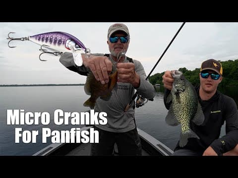 Micro Crankbaits For Panfish