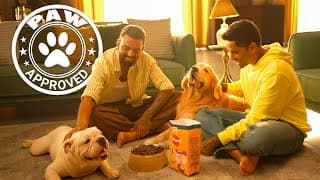 Dogs Day Out Ft. @klyoutube