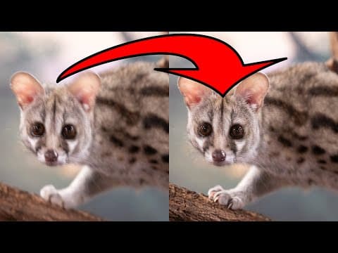 Can Generative Ai In Photoshop Sharpen A Blurry Photo?