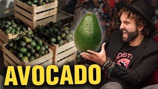 Avocado