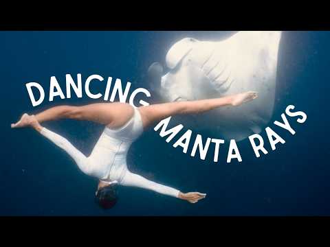 What Happens When A Ballerina Meets A Manta Ray?