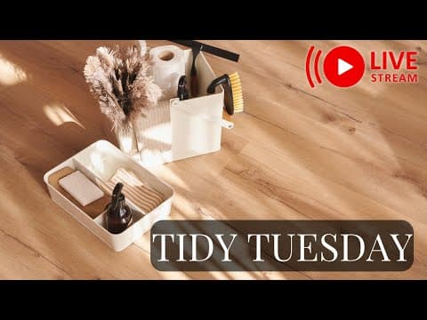 🔴 Tidy Tuesday Pre-holiday Tidying Live | Accountability Hangout