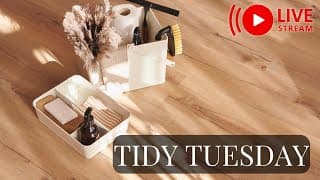 🔴 Tidy Tuesday Pre-holiday Tidying Live | Accountability Hangout