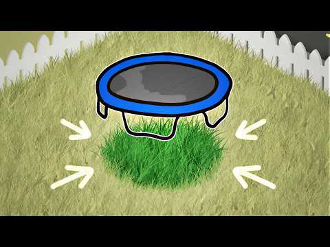 Why Grass Grows Better Under Trampolines