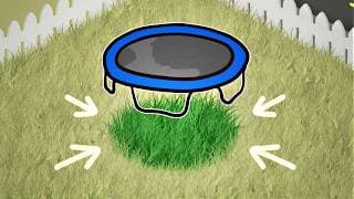 Why Grass Grows Better Under Trampolines