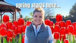 Planting 400 Red Tulips In My Winter Garden!