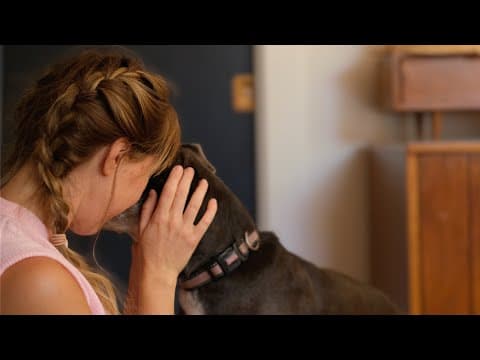 Sad And Sweet Life Update: New Member Of Our Family