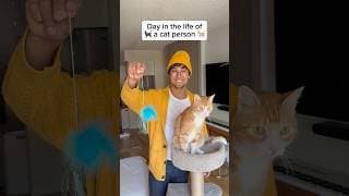 When you’re a cat lover #shorts
