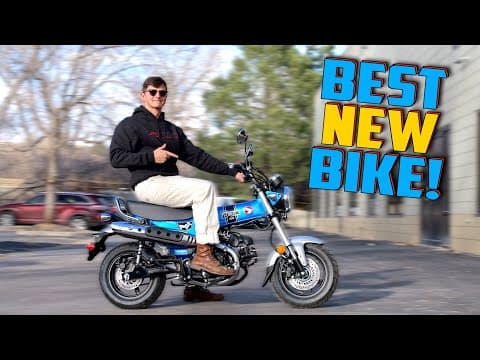 We Bought The Best New Honda Minimoto! Dax 125 First Ride