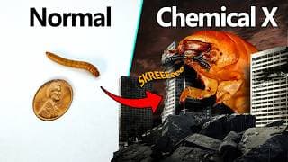 Making giant insects to spite evolution