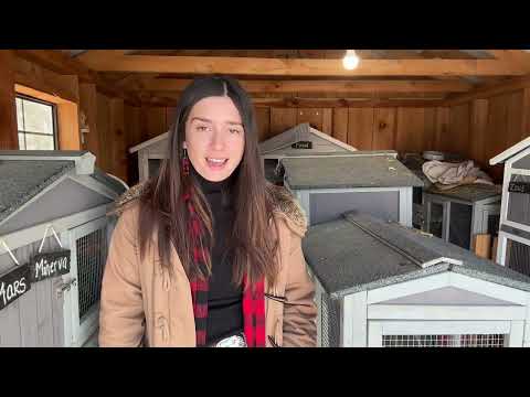 The Quiet Land Grab: 2,000 Acres Of Farmland Disappear Every Day