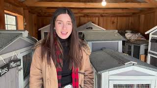 The Quiet Land Grab: 2,000 Acres Of Farmland Disappear Every Day