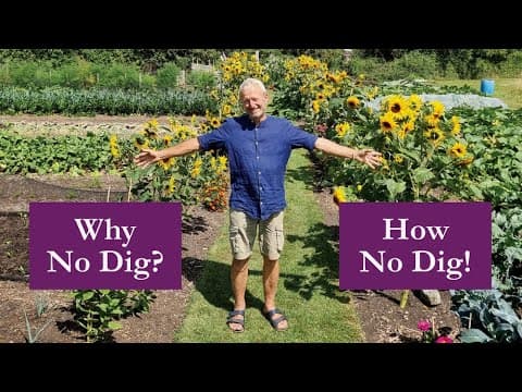 No Dig Explained, For Healthier Soil, Fewer Weeds, Bigger Harvests