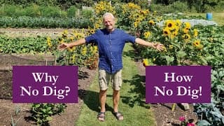 No Dig Explained, For Healthier Soil, Fewer Weeds, Bigger Harvests