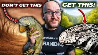 5 Reptiles You Think You Want But Definitely Don't!