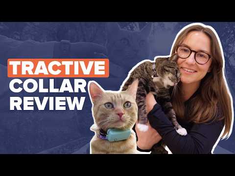 Tractive Cat Mini Gps Tracker Review - Does It Really Work?