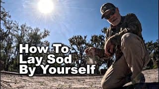 How To Lay Sod All By Yourself Even When It's Dormant