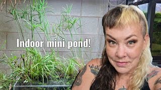 Tub Update, New Project, Bog Update, Vacation Planning And More!