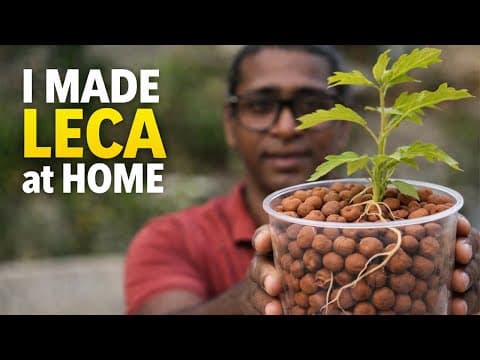 Watch This Before Buying Leca Clay Balls | Diy Reality Check