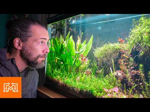 Why Every Hobbyist Needs A 3d Printer