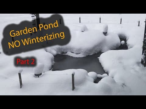 Leaving The Water Pump Running Over Winter In My Garden Pond - Part 2